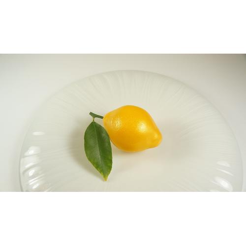 Flexipan silicone mould-Citrons