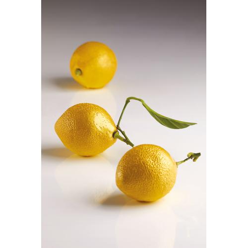 Φόρμα σιλικόνης Pavoduo-Citron