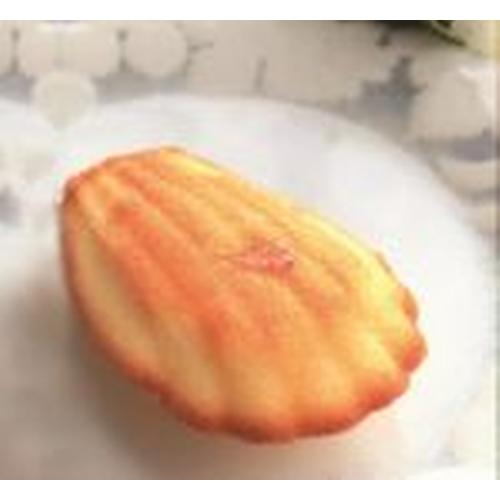 Pavoflex silicone mould-Madeleine