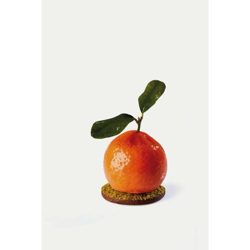Pavoflex silicone mould-Tangerine