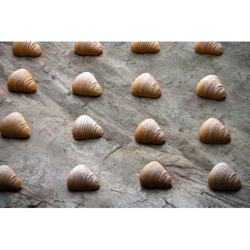 Pavoflex silicone mould-Sfogliatella Mignon