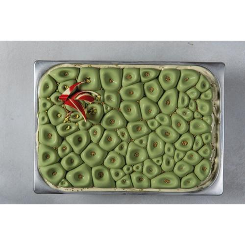Top Ice silicone mould 36x25cm-Coral 