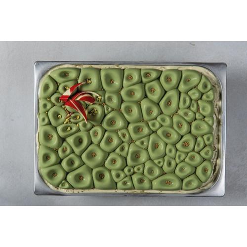 Φόρμα σιλικόνης Top Ice 36x25cm-Coral 