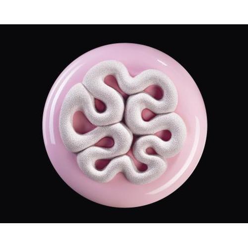 Top silicone mould 240x140mm-Mini Jelly 